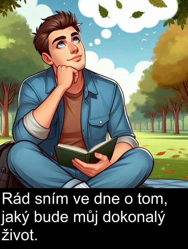 život: Rád sním ve dne o tom, jaký bude můj dokonalý život.