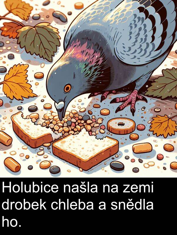 chleba: Holubice našla na zemi drobek chleba a snědla ho.