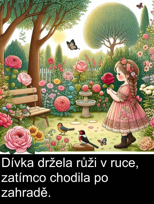 zahradě: Dívka držela růži v ruce, zatímco chodila po zahradě.