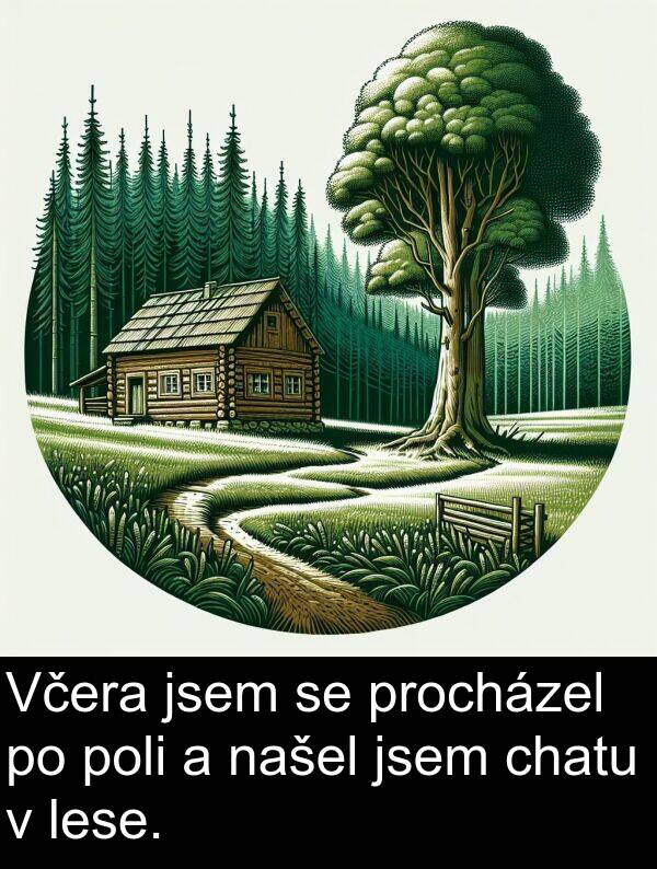 chatu: Včera jsem se procházel po poli a našel jsem chatu v lese.