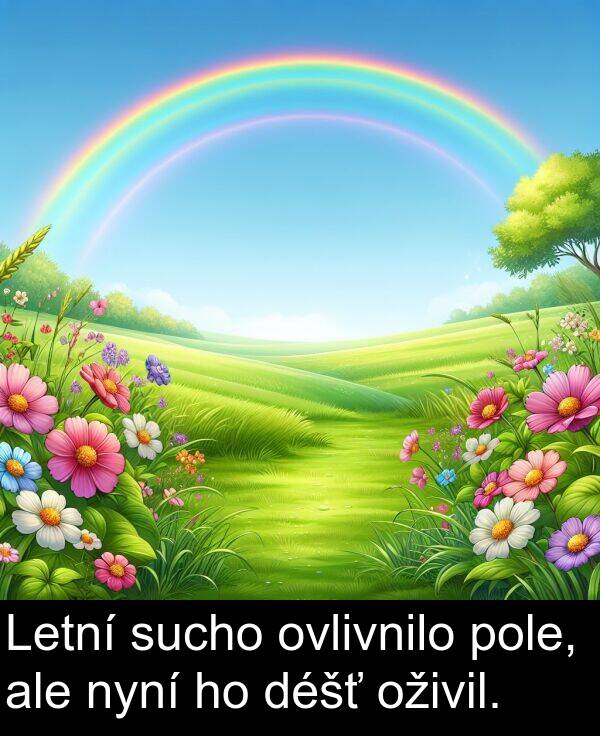 ale: Letní sucho ovlivnilo pole, ale nyní ho déšť oživil.