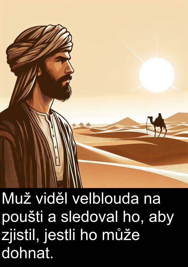 sledoval: Muž viděl velblouda na poušti a sledoval ho, aby zjistil, jestli ho může dohnat.