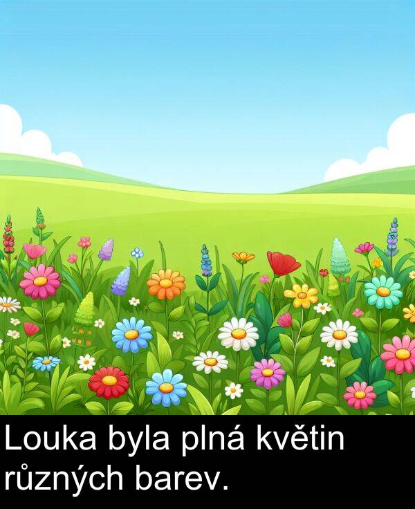 barev: Louka byla plná květin různých barev.