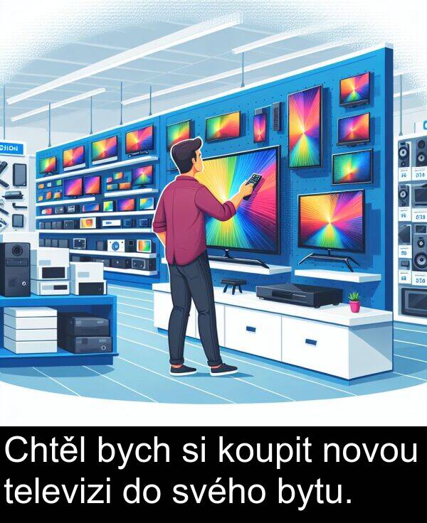 svého: Chtěl bych si koupit novou televizi do svého bytu.