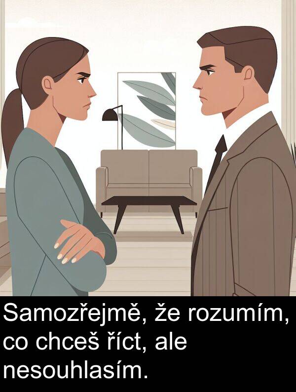 říct: Samozřejmě, že rozumím, co chceš říct, ale nesouhlasím.