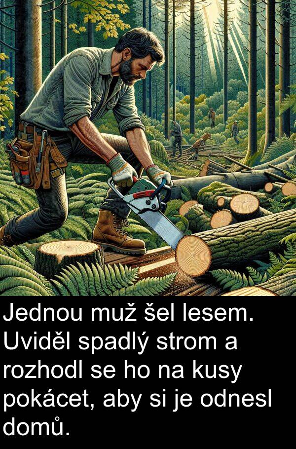 šel: Jednou muž šel lesem. Uviděl spadlý strom a rozhodl se ho na kusy pokácet, aby si je odnesl domů.
