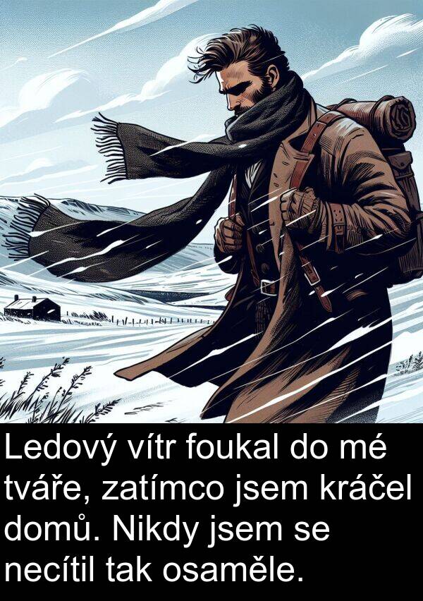 foukal: Ledový vítr foukal do mé tváře, zatímco jsem kráčel domů. Nikdy jsem se necítil tak osaměle.