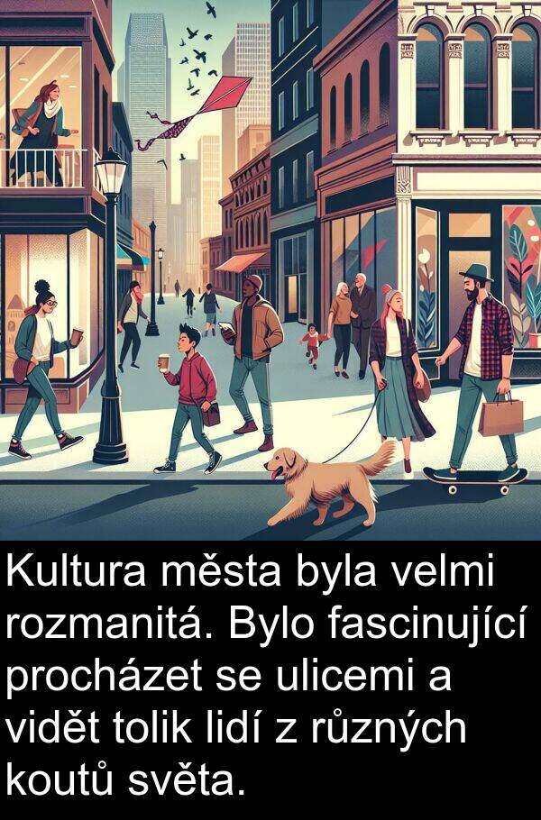 fascinující: Kultura města byla velmi rozmanitá. Bylo fascinující procházet se ulicemi a vidět tolik lidí z různých koutů světa.