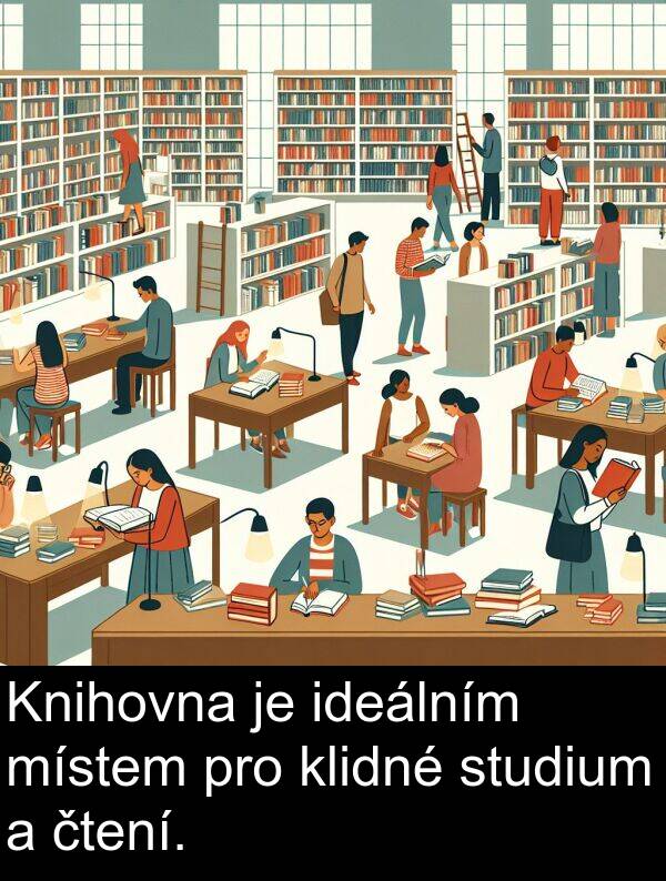 čtení: Knihovna je ideálním místem pro klidné studium a čtení.