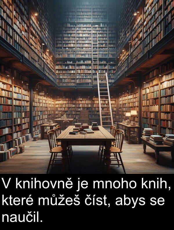 abys: V knihovně je mnoho knih, které můžeš číst, abys se naučil.