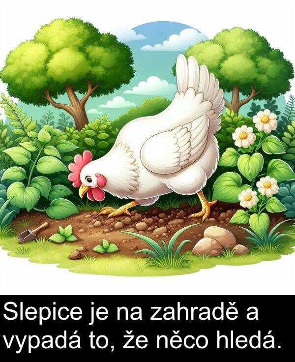 zahradě: Slepice je na zahradě a vypadá to, že něco hledá.
