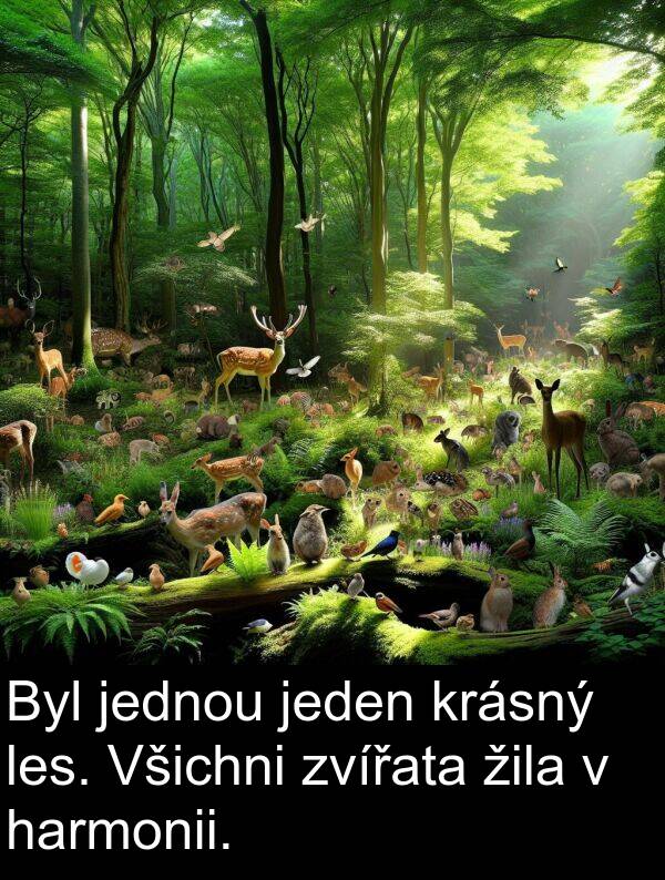 žila: Byl jednou jeden krásný les. Všichni zvířata žila v harmonii.