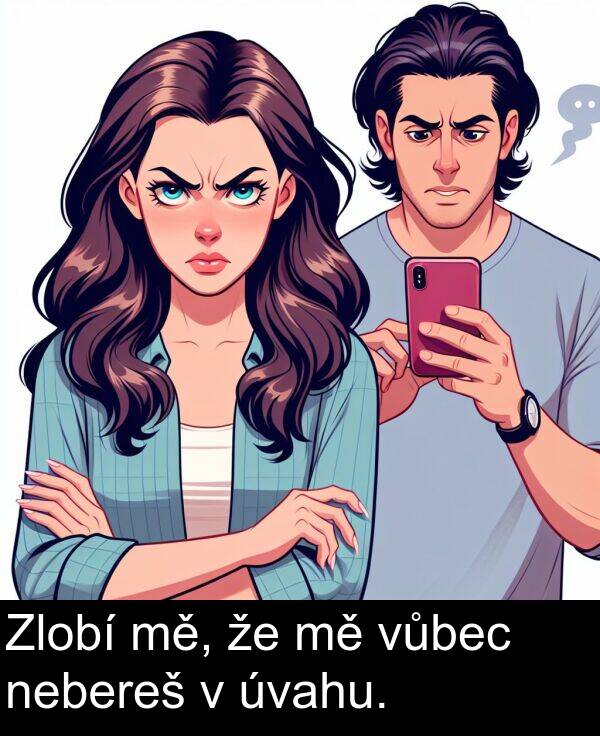 nebereš: Zlobí mě, že mě vůbec nebereš v úvahu.