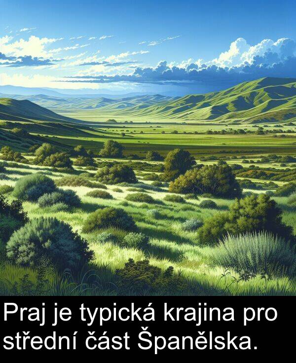část: Praj je typická krajina pro střední část Španělska.