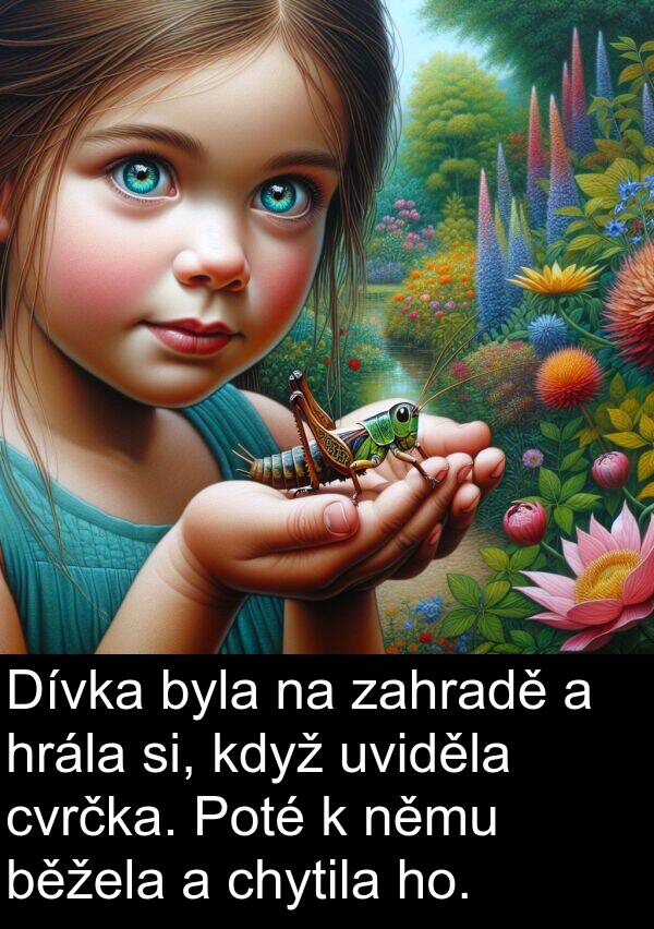 zahradě: Dívka byla na zahradě a hrála si, když uviděla cvrčka. Poté k němu běžela a chytila ho.