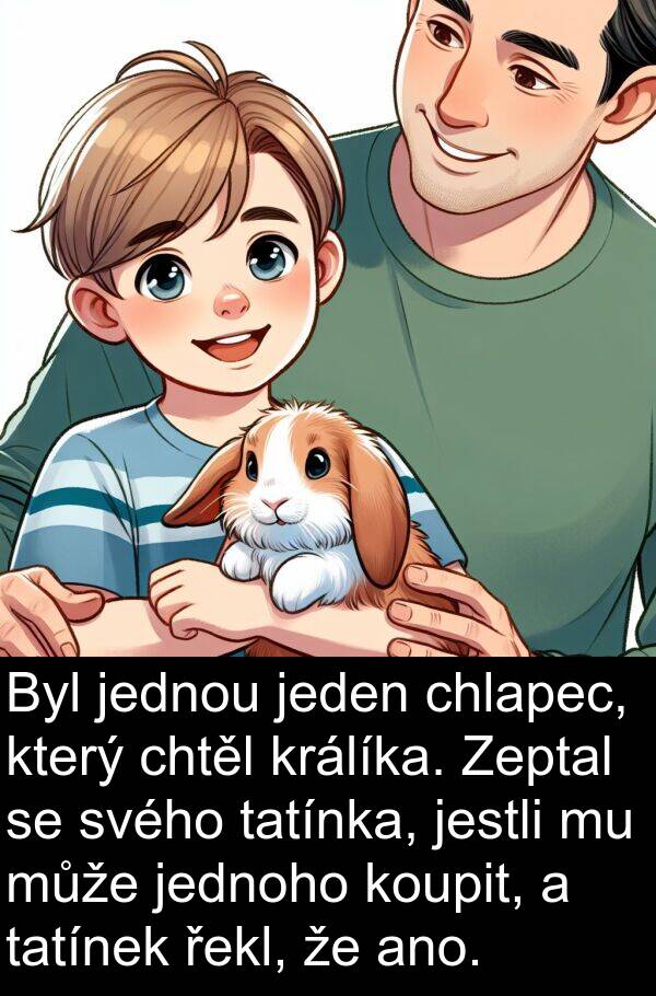 řekl: Byl jednou jeden chlapec, který chtěl králíka. Zeptal se svého tatínka, jestli mu může jednoho koupit, a tatínek řekl, že ano.