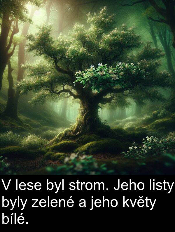 strom: V lese byl strom. Jeho listy byly zelené a jeho květy bílé.