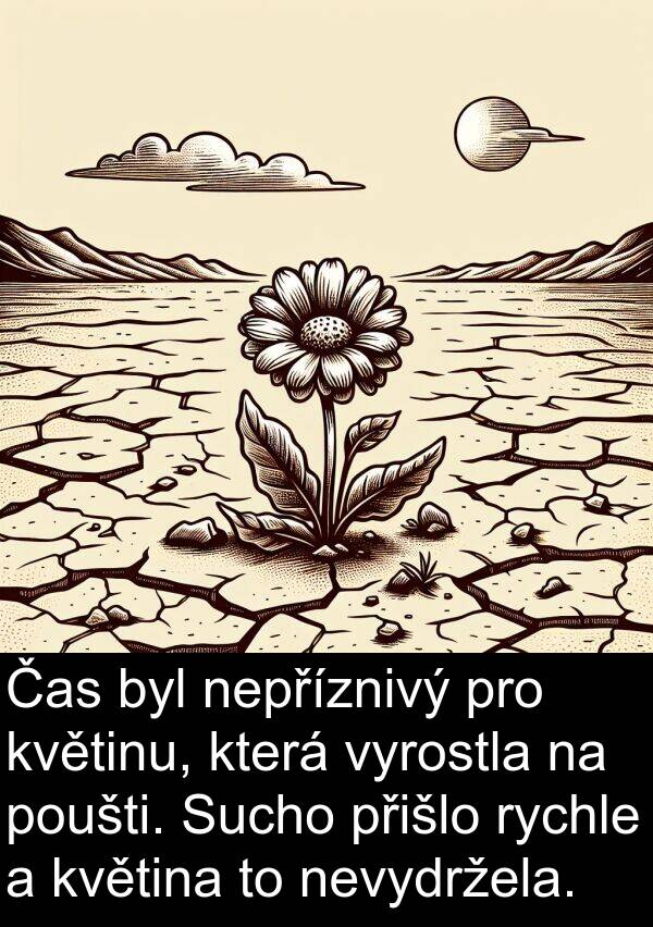 přišlo: Čas byl nepříznivý pro květinu, která vyrostla na poušti. Sucho přišlo rychle a květina to nevydržela.