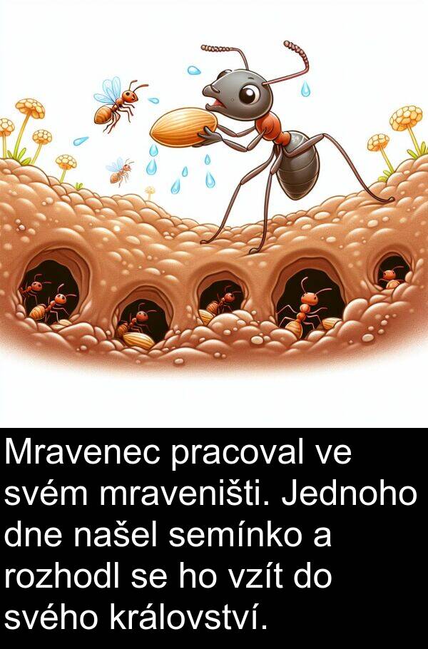 svém: Mravenec pracoval ve svém mraveništi. Jednoho dne našel semínko a rozhodl se ho vzít do svého království.