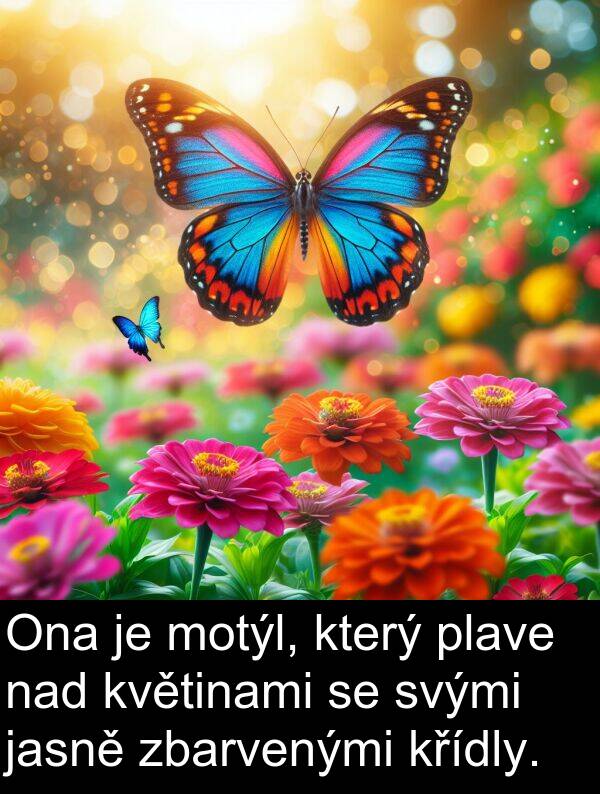 nad: Ona je motýl, který plave nad květinami se svými jasně zbarvenými křídly.
