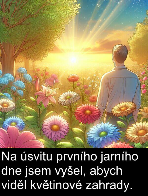 abych: Na úsvitu prvního jarního dne jsem vyšel, abych viděl květinové zahrady.