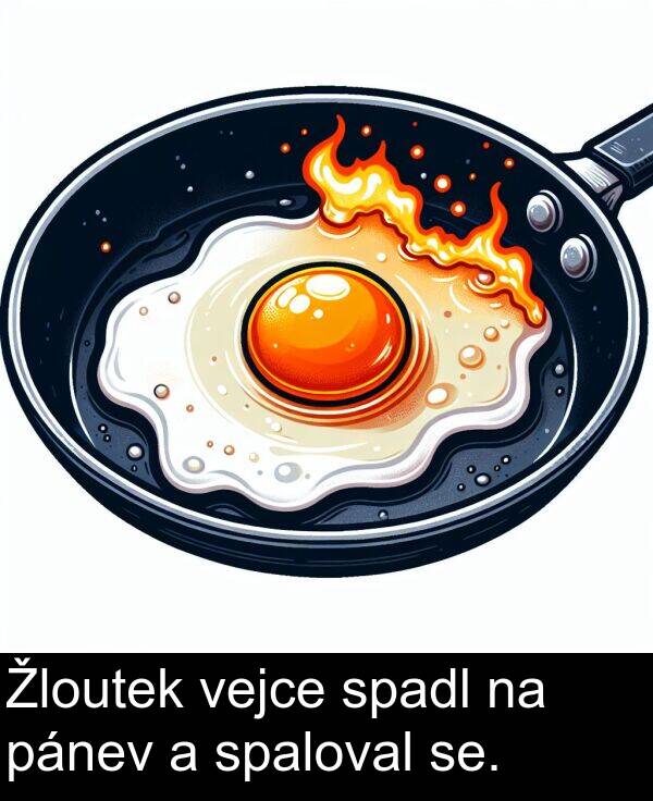 se: Žloutek vejce spadl na pánev a spaloval se.