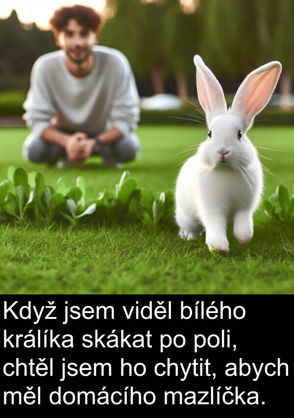 chytit: Když jsem viděl bílého králíka skákat po poli, chtěl jsem ho chytit, abych měl domácího mazlíčka.