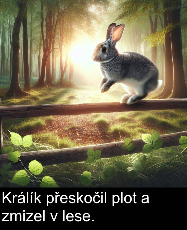 zmizel: Králík přeskočil plot a zmizel v lese.
