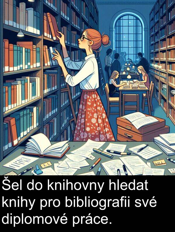 bibliografii: Šel do knihovny hledat knihy pro bibliografii své diplomové práce.