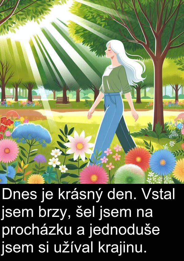 šel: Dnes je krásný den. Vstal jsem brzy, šel jsem na procházku a jednoduše jsem si užíval krajinu.
