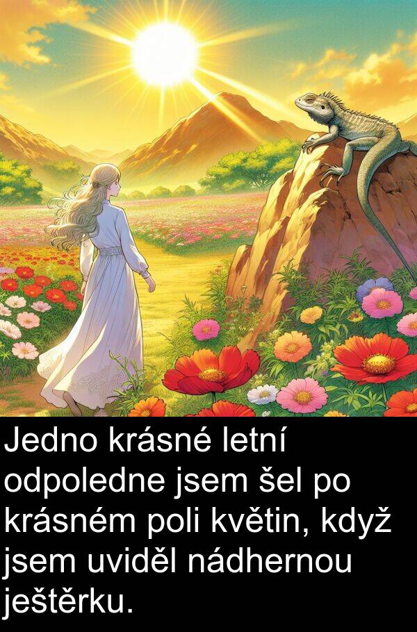 šel: Jedno krásné letní odpoledne jsem šel po krásném poli květin, když jsem uviděl nádhernou ještěrku.