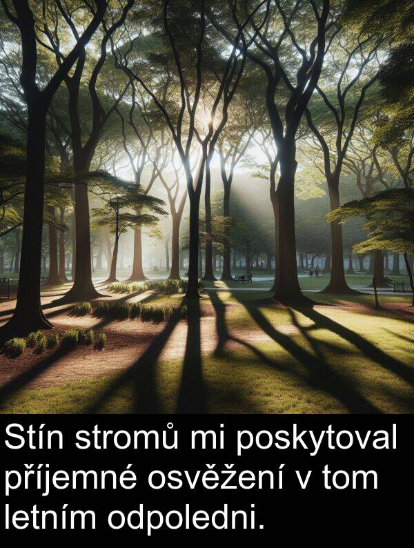 stromů: Stín stromů mi poskytoval příjemné osvěžení v tom letním odpoledni.