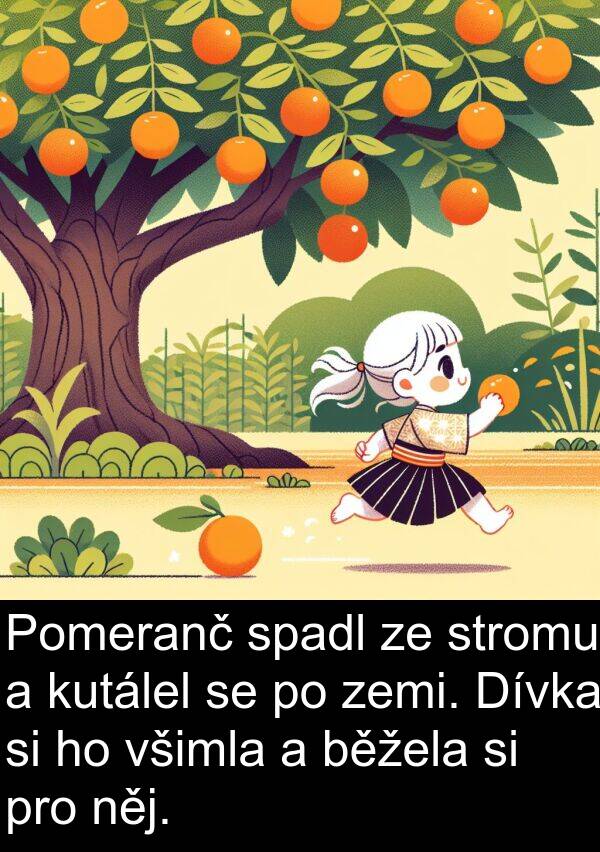 stromu: Pomeranč spadl ze stromu a kutálel se po zemi. Dívka si ho všimla a běžela si pro něj.