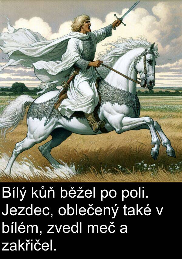 také: Bílý kůň běžel po poli. Jezdec, oblečený také v bílém, zvedl meč a zakřičel.
