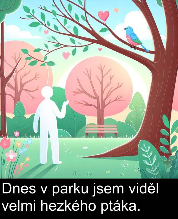 hezkého: Dnes v parku jsem viděl velmi hezkého ptáka.