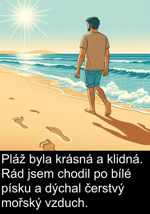 chodil: Pláž byla krásná a klidná. Rád jsem chodil po bílé písku a dýchal čerstvý mořský vzduch.