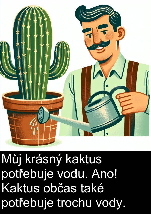 občas: Můj krásný kaktus potřebuje vodu. Ano! Kaktus občas také potřebuje trochu vody.