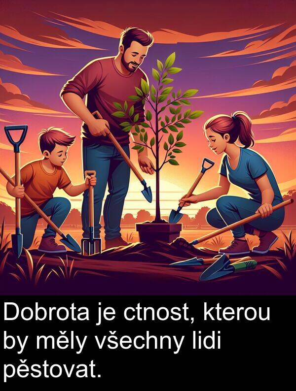 ctnost: Dobrota je ctnost, kterou by měly všechny lidi pěstovat.