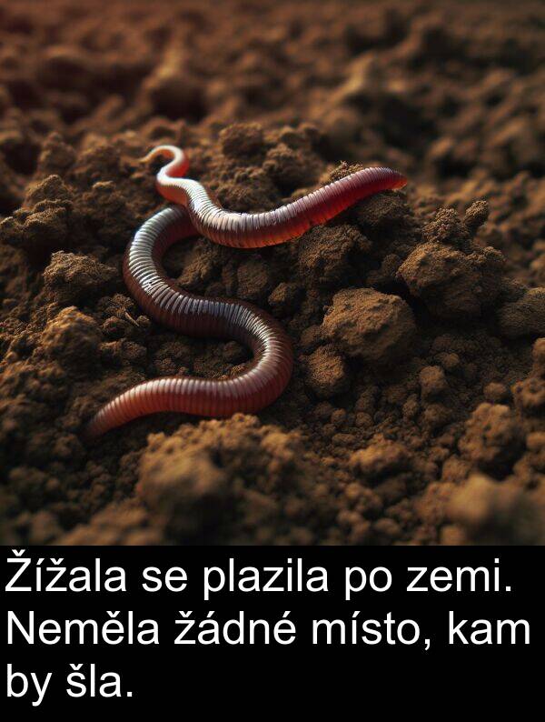 šla: Žížala se plazila po zemi. Neměla žádné místo, kam by šla.