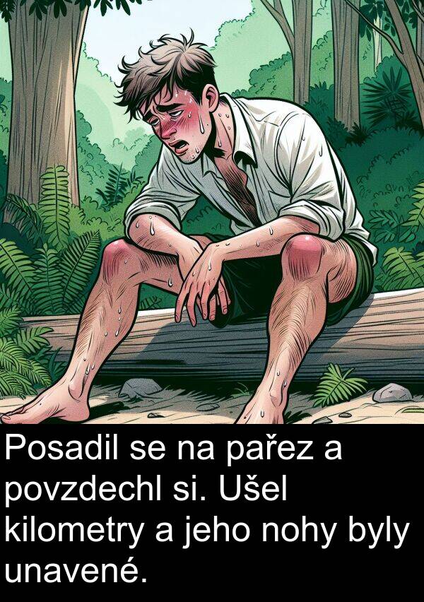 si: Posadil se na pařez a povzdechl si. Ušel kilometry a jeho nohy byly unavené.