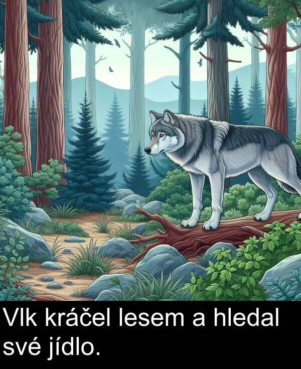 své: Vlk kráčel lesem a hledal své jídlo.
