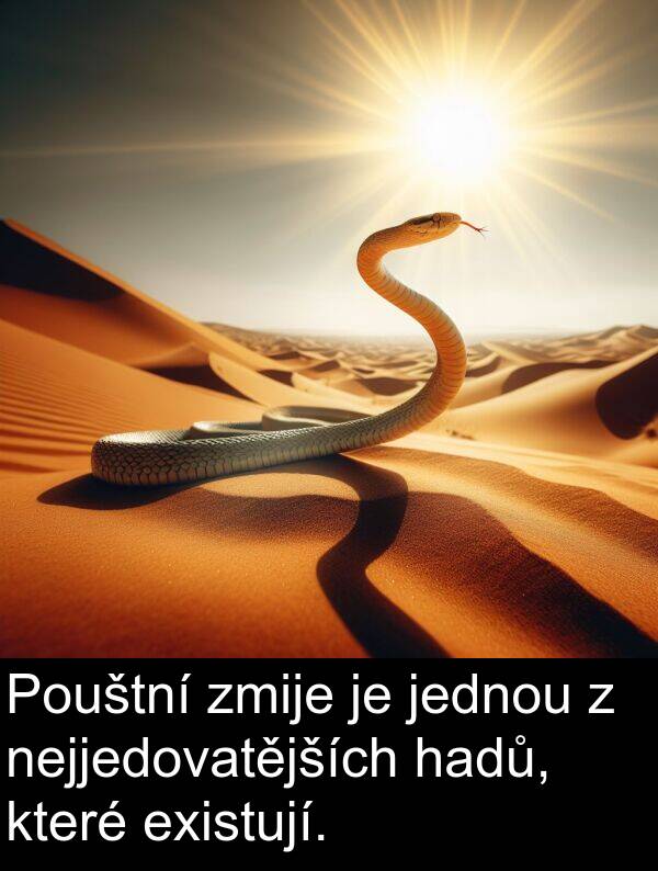 hadů: Pouštní zmije je jednou z nejjedovatějších hadů, které existují.