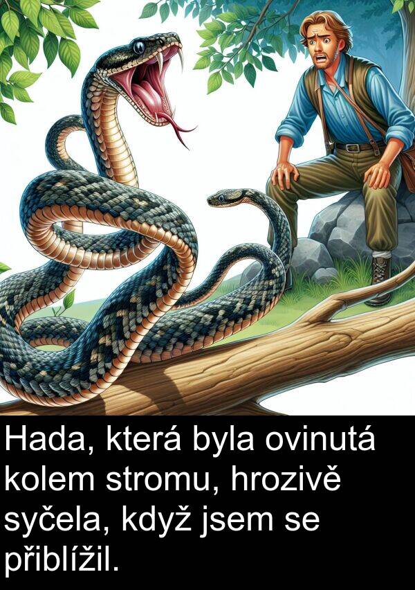 stromu: Hada, která byla ovinutá kolem stromu, hrozivě syčela, když jsem se přiblížil.