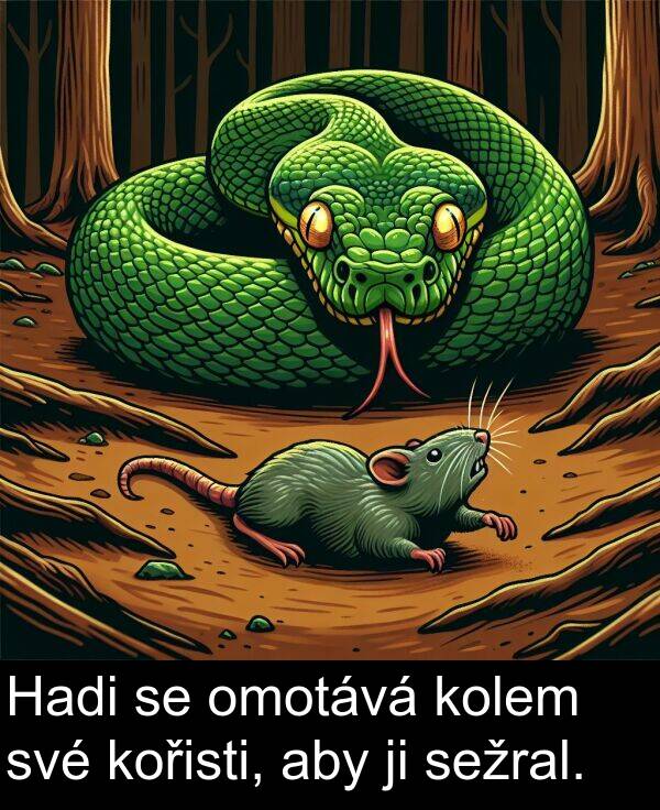 aby: Hadi se omotává kolem své kořisti, aby ji sežral.