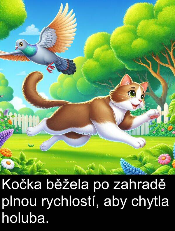 zahradě: Kočka běžela po zahradě plnou rychlostí, aby chytla holuba.