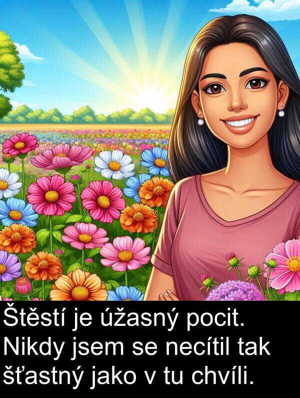 tak: Štěstí je úžasný pocit. Nikdy jsem se necítil tak šťastný jako v tu chvíli.