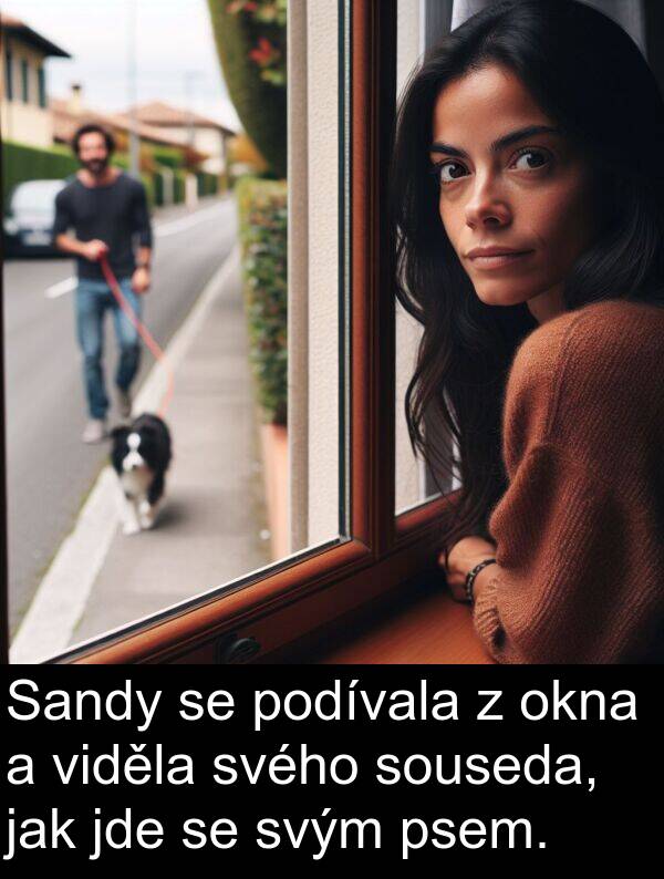 svým: Sandy se podívala z okna a viděla svého souseda, jak jde se svým psem.