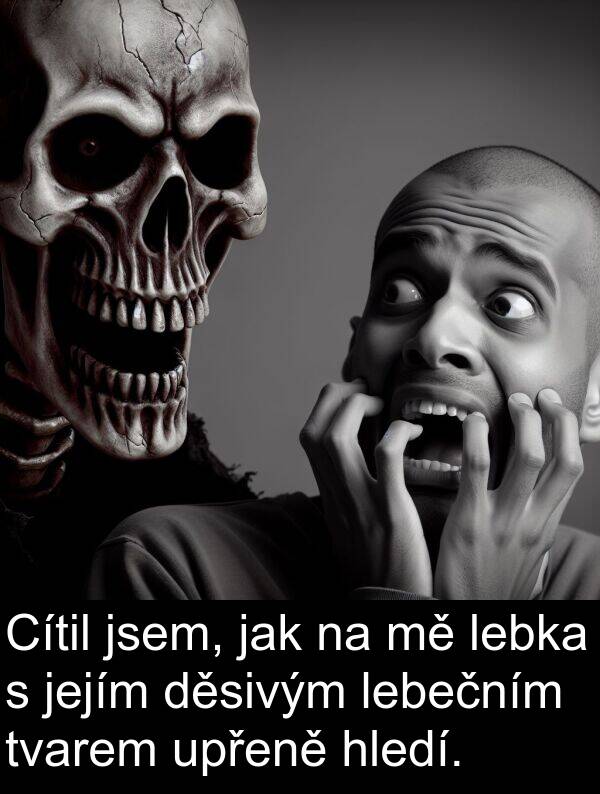lebečním: Cítil jsem, jak na mě lebka s jejím děsivým lebečním tvarem upřeně hledí.