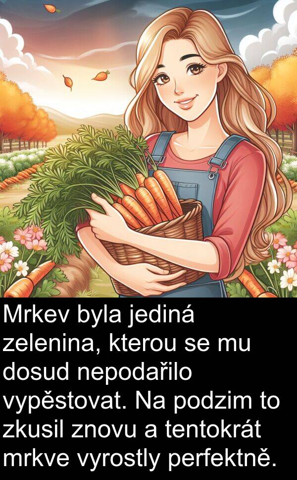 zelenina: Mrkev byla jediná zelenina, kterou se mu dosud nepodařilo vypěstovat. Na podzim to zkusil znovu a tentokrát mrkve vyrostly perfektně.