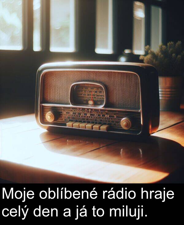 rádio: Moje oblíbené rádio hraje celý den a já to miluji.